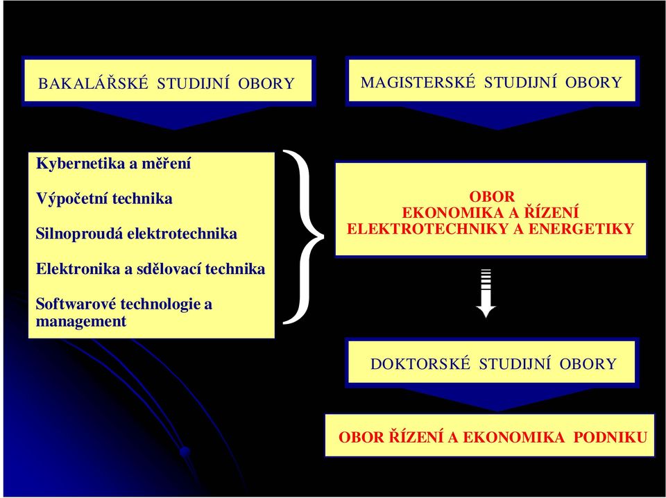 EKONOMIKA A ŘÍZENÍ ELEKTROTECHNIKY A ENERGETIKY Elektronika a sdělovací technika