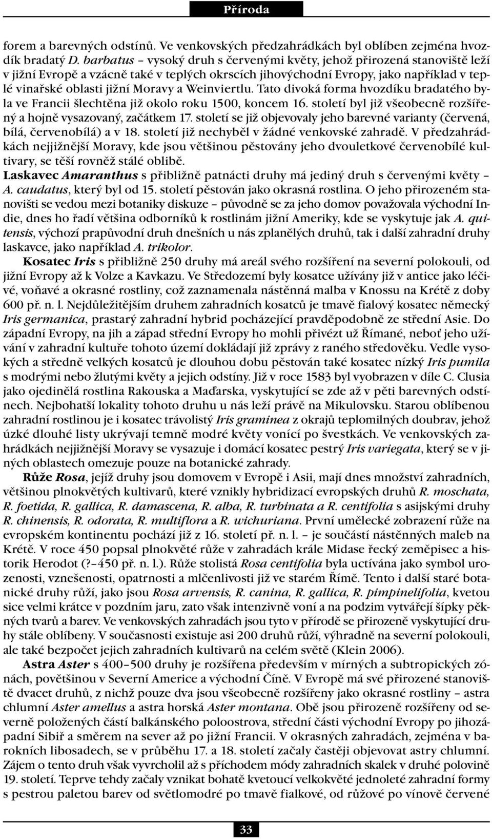 Weinviertlu. Tato divoká forma hvozdíku bradatého byla ve Francii šlechtěna již okolo roku 1500, koncem 16. století byl již všeobecně rozšířený a hojně vysazovaný, začátkem 17.