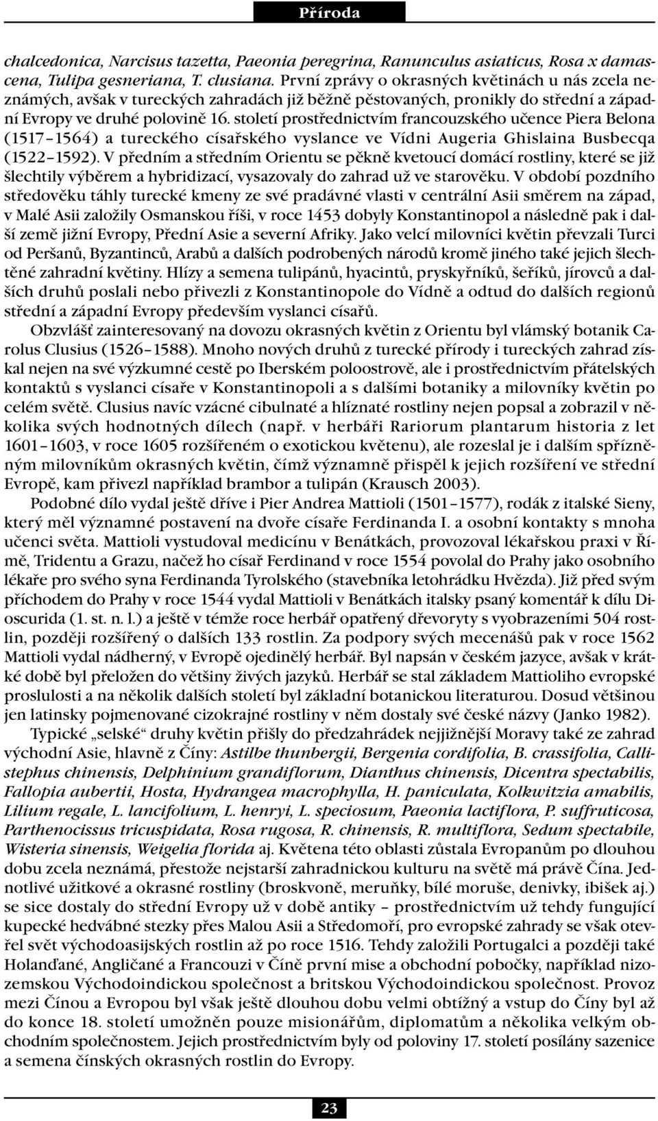 století prostřednictvím francouzského učence Piera Belona (1517 1564) a tureckého císařského vyslance ve Vídni Augeria Ghislaina Busbecqa (1522 1592).