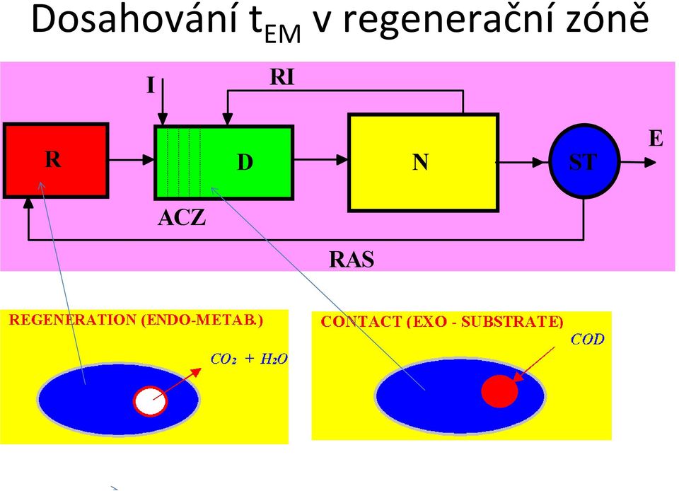 regenerační