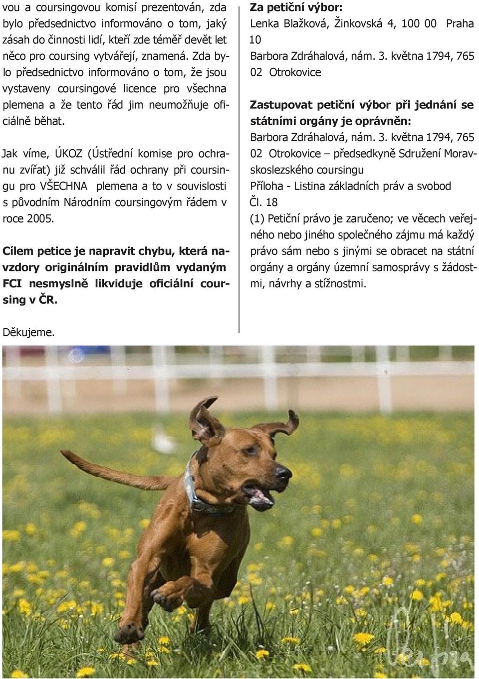 Jak víme, ÚKOZ (Ústřední komise pro ochranu zvířat) již schválil řád ochrany při coursingu pro VŠECHNA plemena a to v souvislosti s původním Národním coursingovým řádem v roce 2005.