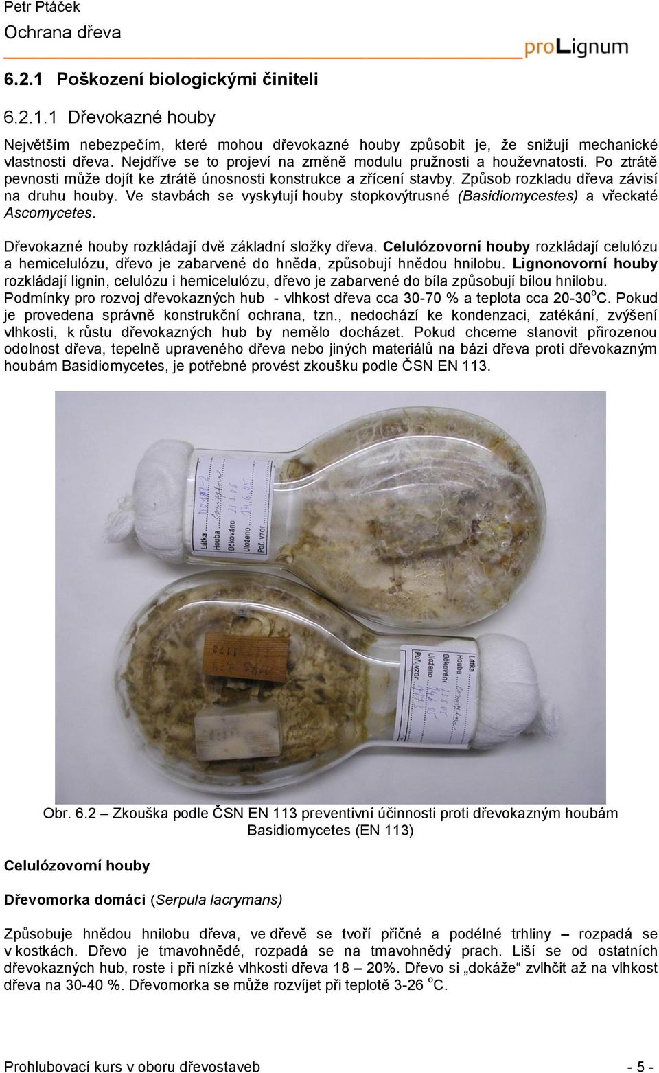 Ve stavbách se vyskytují houby stopkovýtrusné (Basidiomycestes) a vřeckaté Ascomycetes. Dřevokazné houby rozkládají dvě základní složky dřeva.