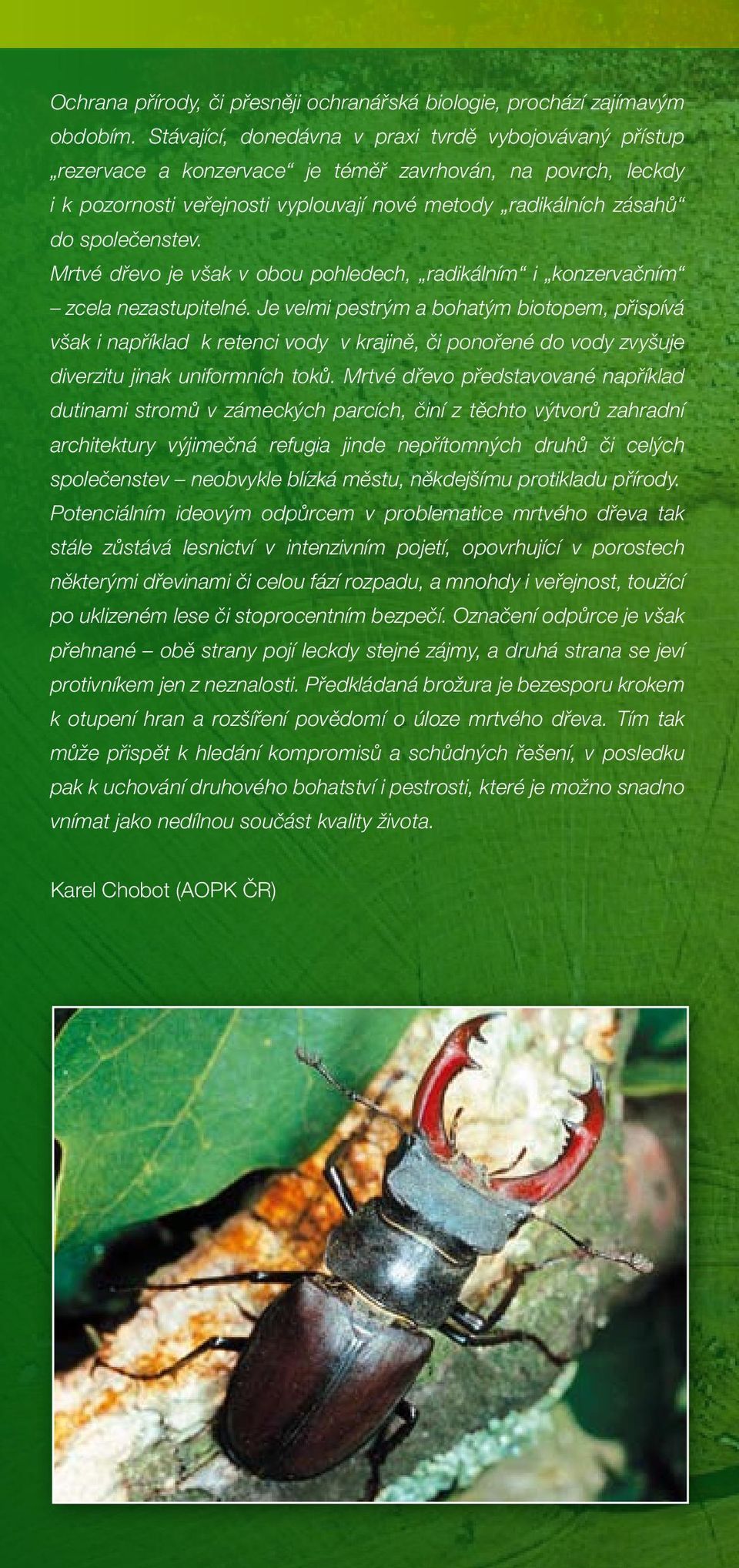 společenstev. Mrtvé dřevo je však v obou pohledech, radikálním i konzervačním zcela nezastupitelné.