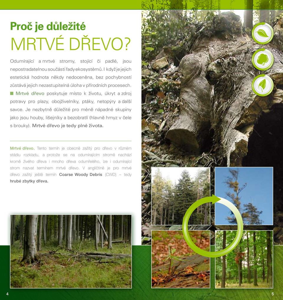 Mrtvé dřevo poskytuje místo k životu, úkryt a zdroj potravy pro plazy, obojživelníky, ptáky, netopýry a další savce.