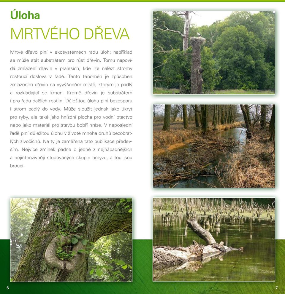 Kromě dřevin je substrátem i pro řadu dalších rostlin. Důležitou úlohu plní bezesporu i strom padlý do vody.