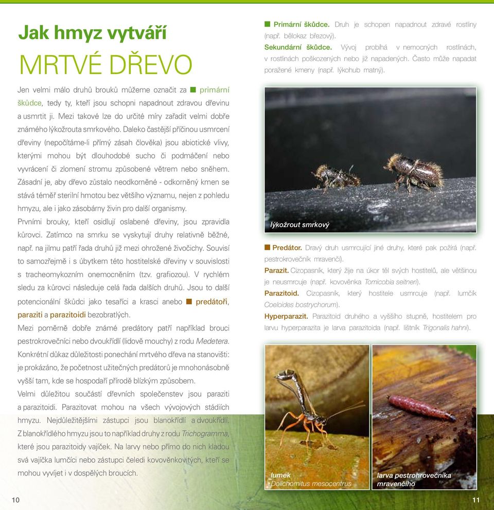 Daleko častější příčinou usmrcení dřeviny (nepočítáme-li přímý zásah člověka) jsou abiotické vlivy, kterými mohou být dlouhodobé sucho či podmáčení nebo vyvrácení či zlomení stromu způsobené větrem