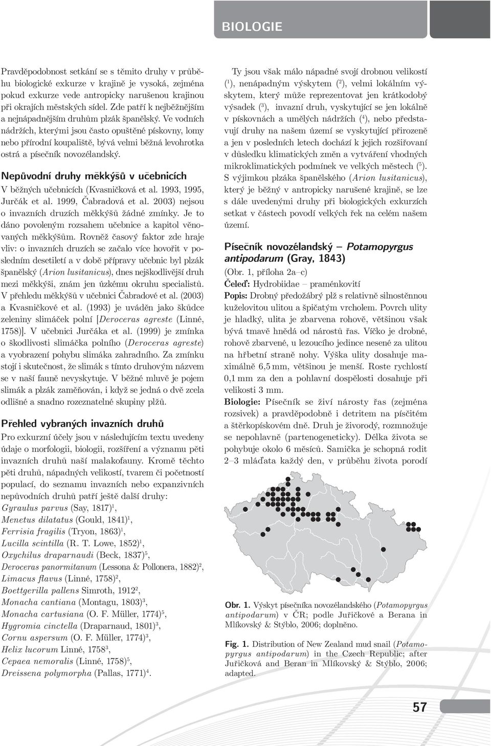 Ve vodních nádržích, kterými jsou často opuštěné pískovny, lomy nebo přírodní koupaliště, bývá velmi běžná levohrotka ostrá a písečník novozélandský.