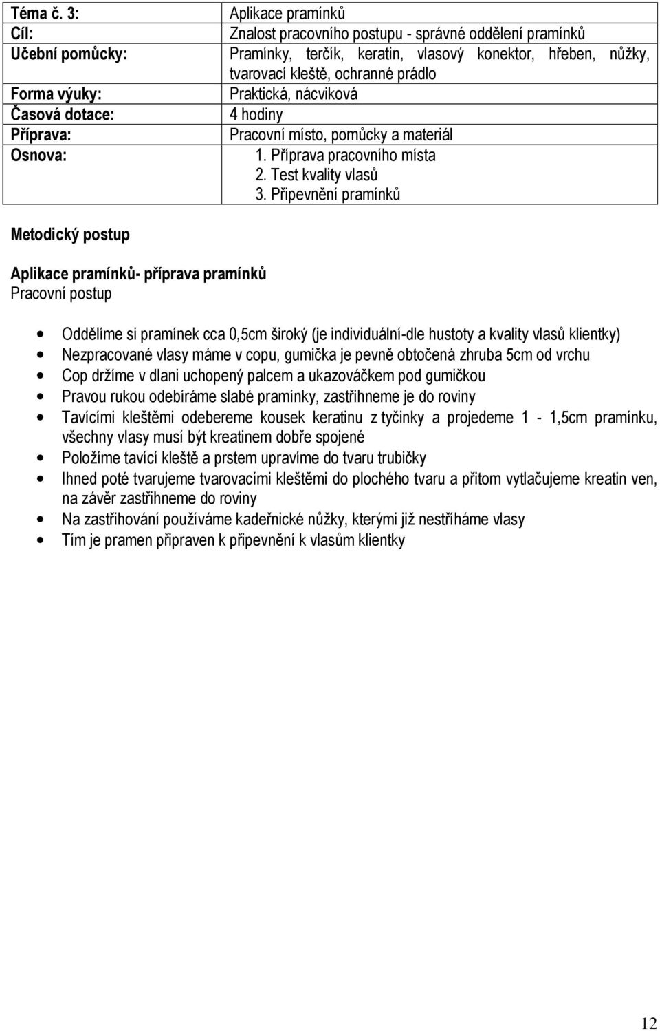 hodiny Pracovní místo, pomůcky a materiál 1. Příprava pracovního místa 2. Test kvality vlasů 3.