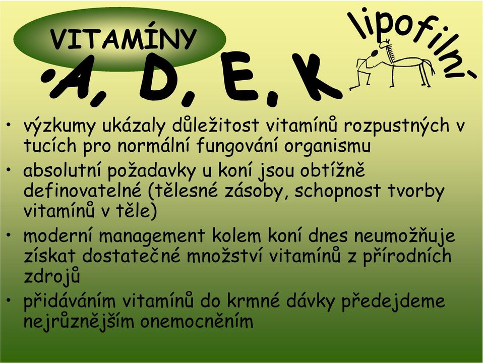 tvorby vitamínů v těle) moderní management kolem koní dnes neumožňuje získat dostatečné