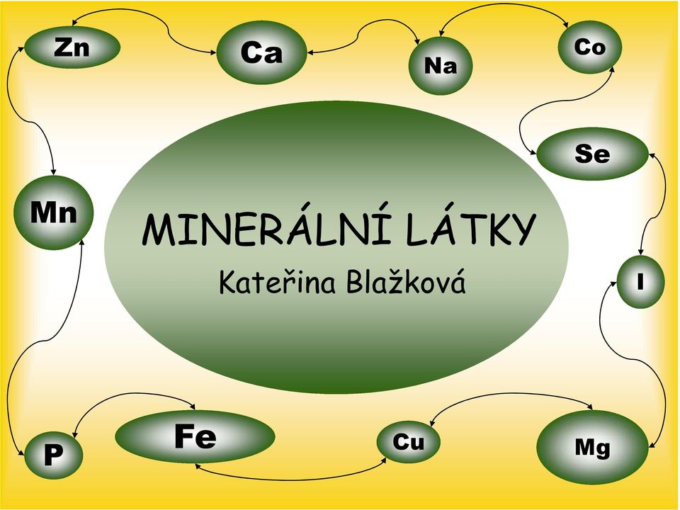 LÁTKY Kateřina