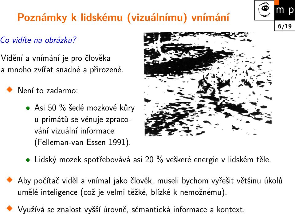 Není to zadarmo: Asi 50 % šedé mozkové kůry u primátů se věnuje zpracování vizuální informace (Felleman-van Essen 1991).