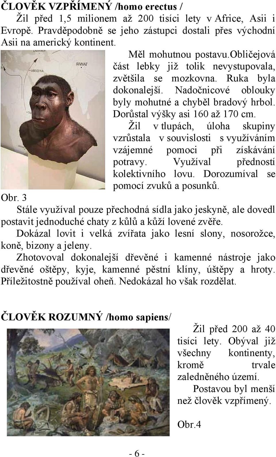 Dorůstal výšky asi 160 až 170 cm. Žil v tlupách, úloha skupiny vzrůstala v souvislosti s využíváním vzájemné pomoci při získávání potravy. Využíval předností kolektivního lovu.