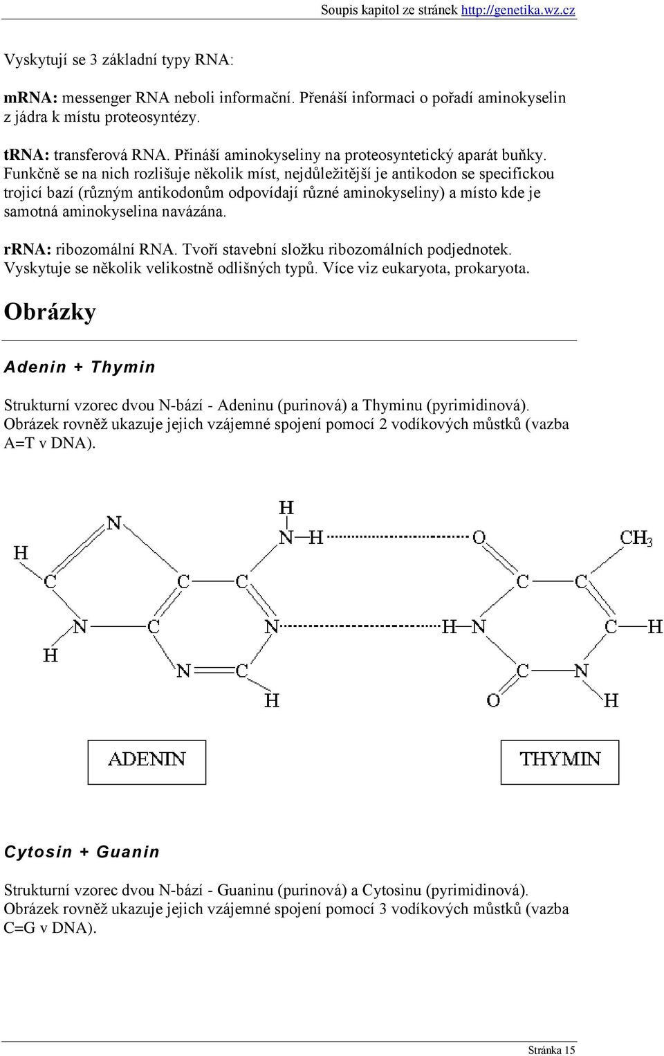 Funkčně se na nich rozlišuje několik míst, nejdůleţitější je antikodon se specifickou trojicí bazí (různým antikodonům odpovídají různé aminokyseliny) a místo kde je samotná aminokyselina navázána.