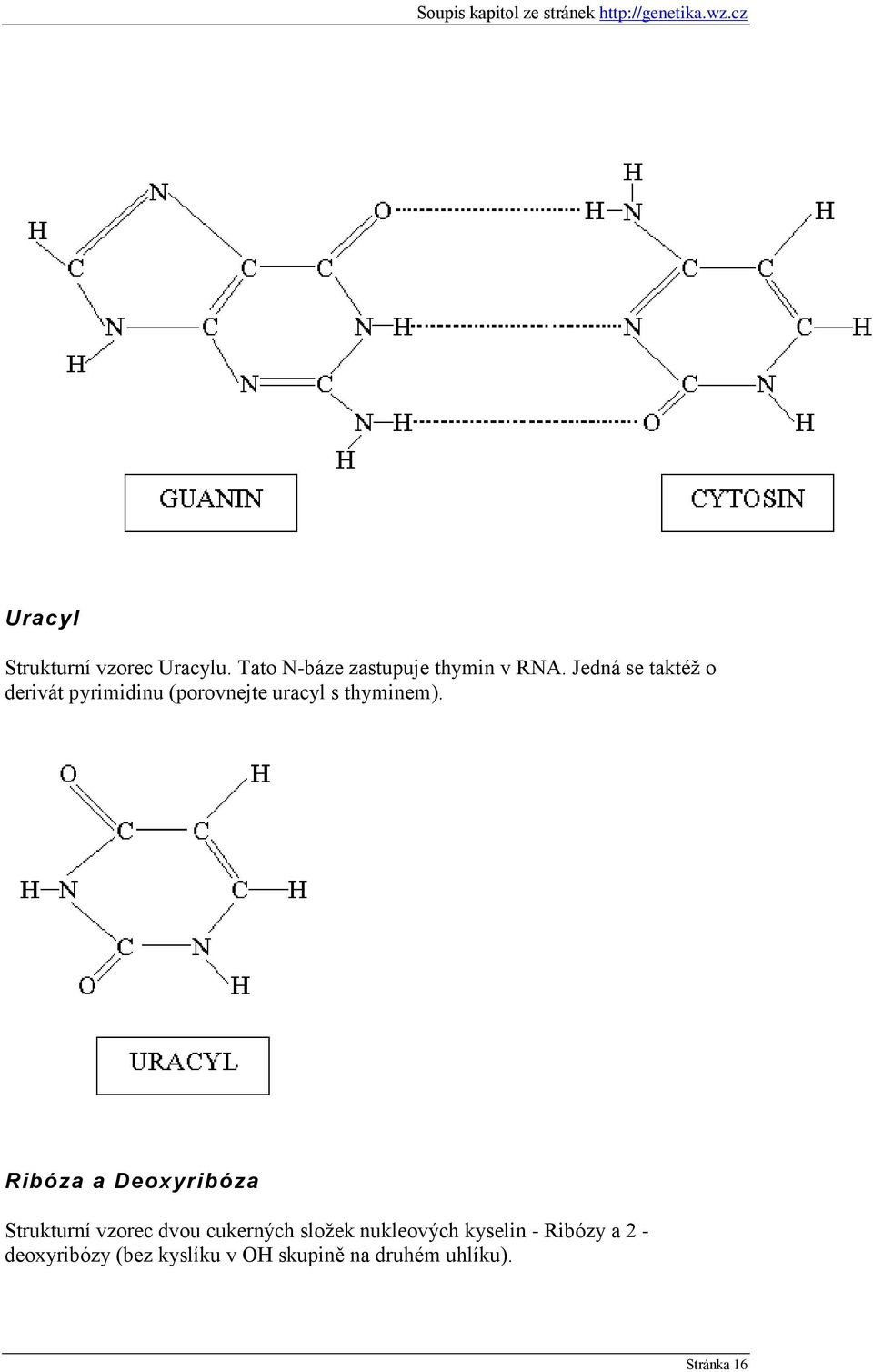 Ribóza a Deoxyribóza Strukturní vzorec dvou cukerných sloţek nukleových