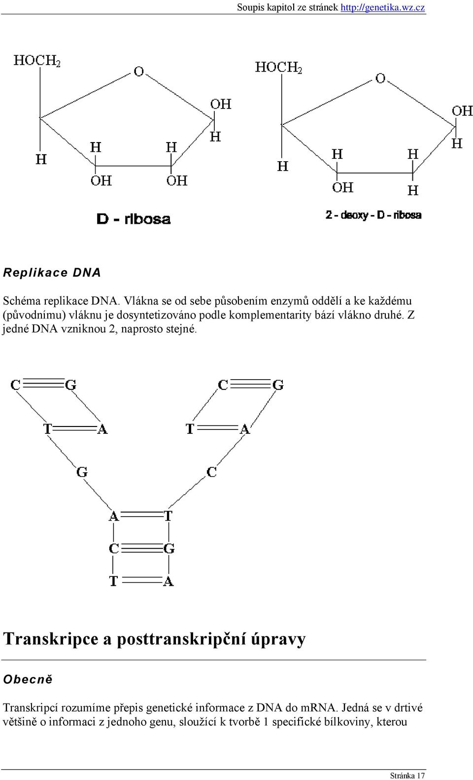 komplementarity bází vlákno druhé. Z jedné DNA vzniknou 2, naprosto stejné.