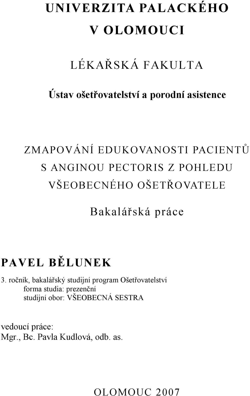 Bakalářská práce PAVEL BĚLUNEK 3.
