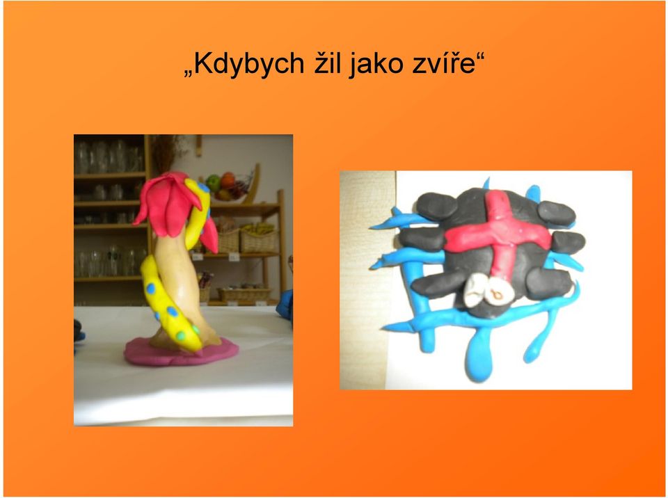 zvíře