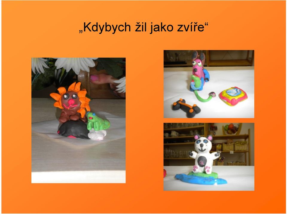 zvíře