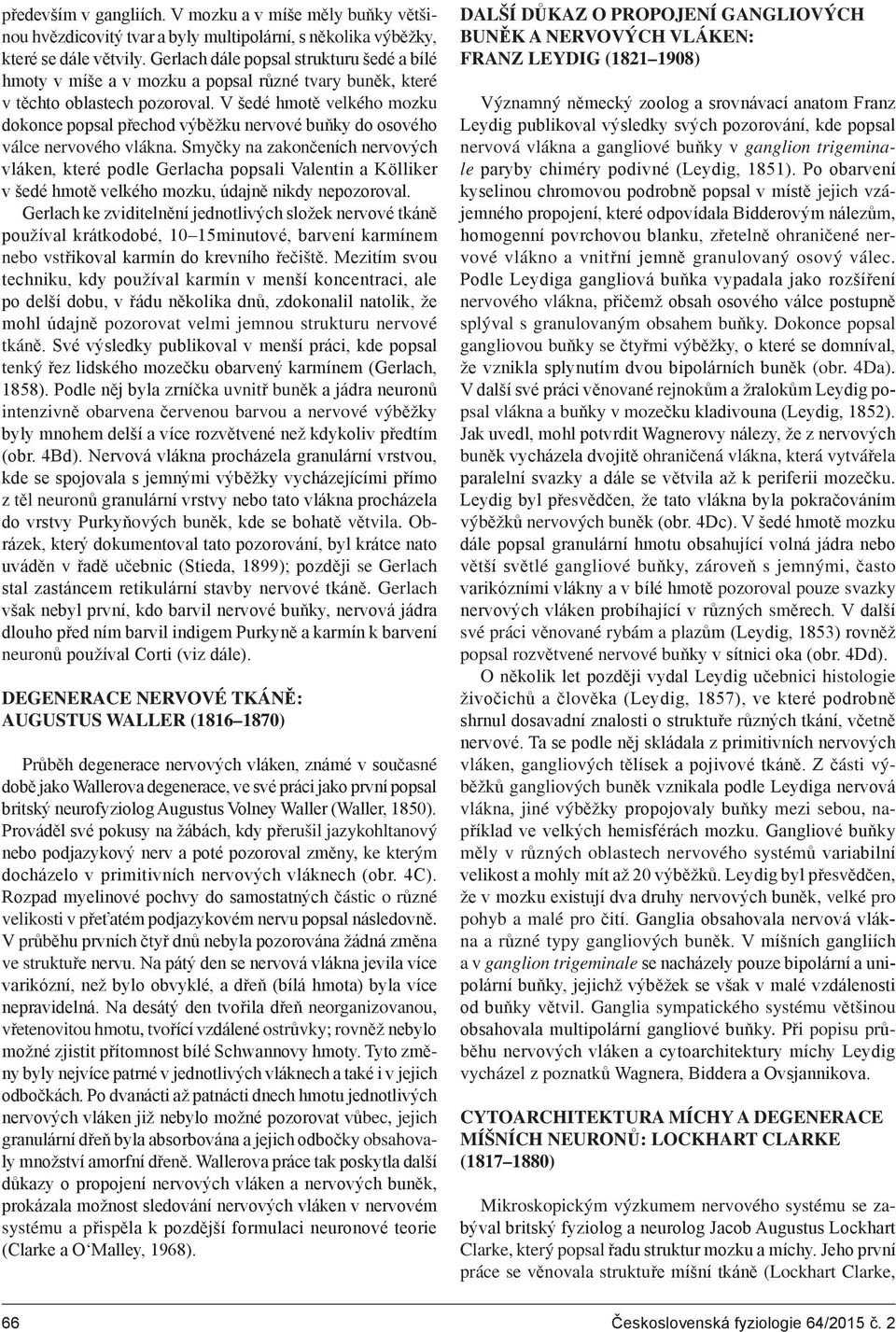 V šedé hmotě velkého mozku dokonce popsal přechod výběžku nervové buňky do osového válce nervového vlákna.