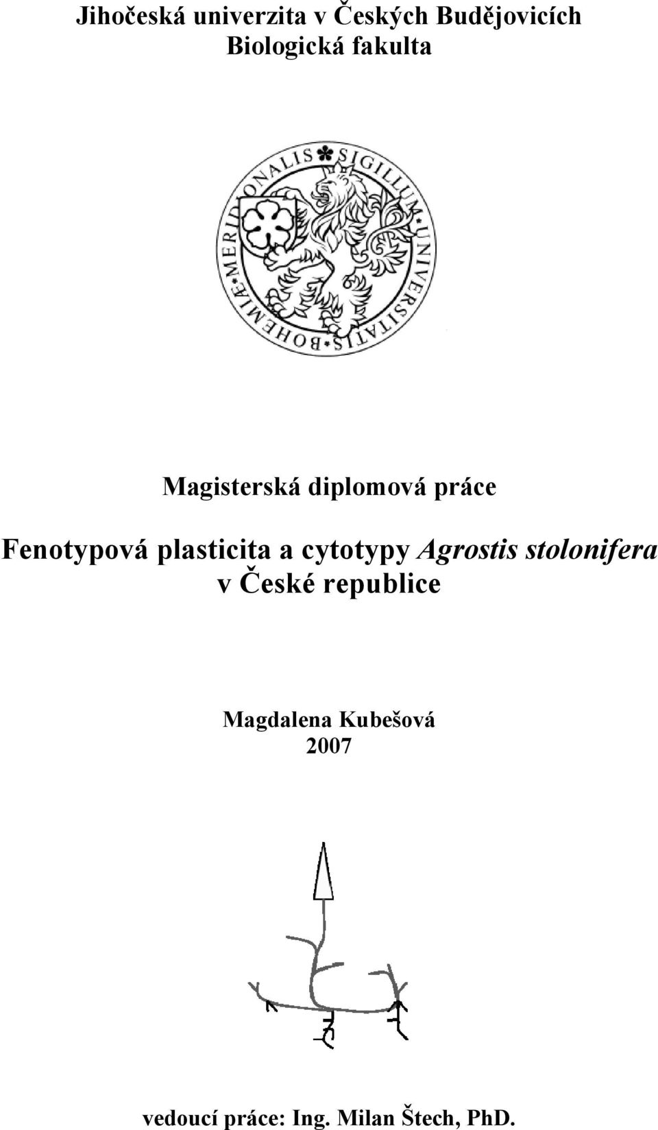 plasticita a cytotypy Agrostis stolonifera v České