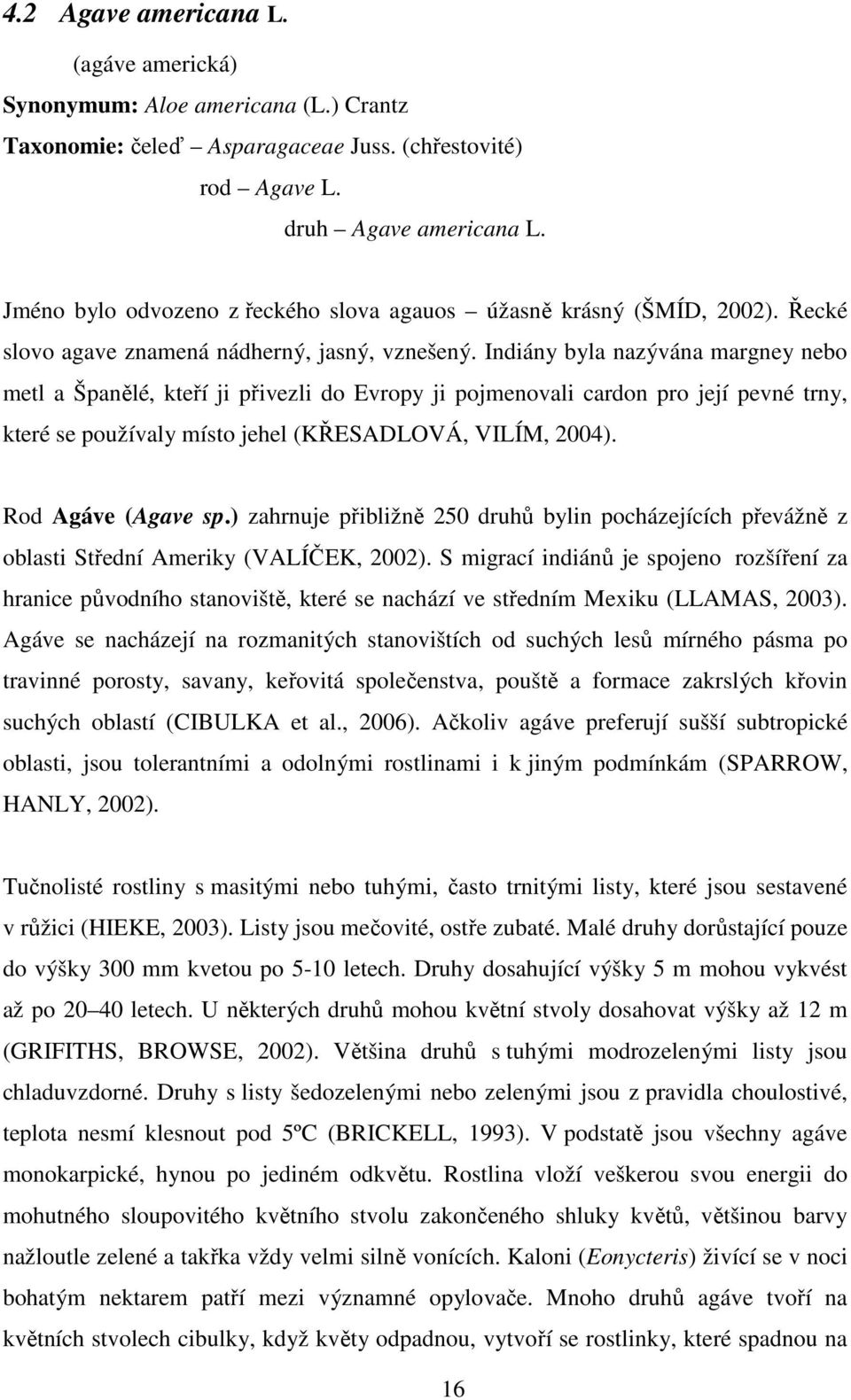 Indiány byla nazývána margney nebo metl a Španělé, kteří ji přivezli do Evropy ji pojmenovali cardon pro její pevné trny, které se používaly místo jehel (KŘESADLOVÁ, VILÍM, 2004). Rod Agáve (Agave sp.
