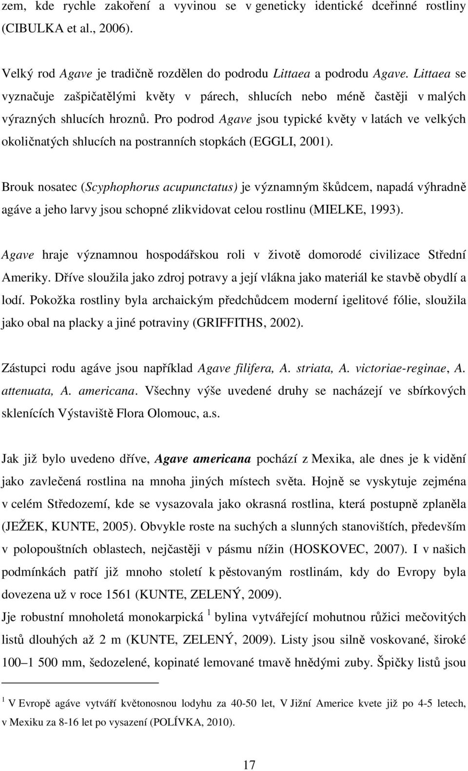 Pro podrod Agave jsou typické květy v latách ve velkých okoličnatých shlucích na postranních stopkách (EGGLI, 2001).