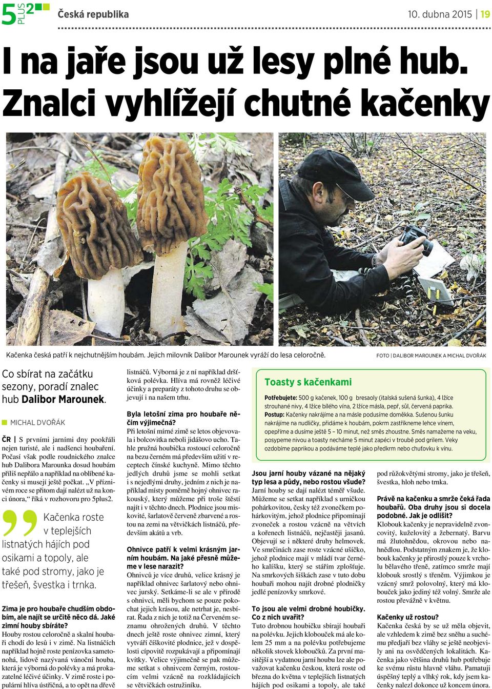 Počasí však podle roudnického znalce hub Dalibora Marounka dosud houbám příliš nepřálo a například na oblíbené kačenky si musejí ještě počkat.