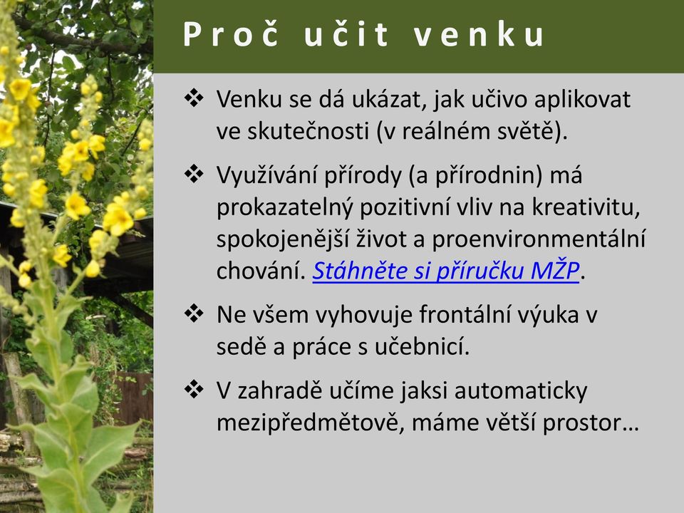 Využívání přírody (a přírodnin) má prokazatelný pozitivní vliv na kreativitu, spokojenější