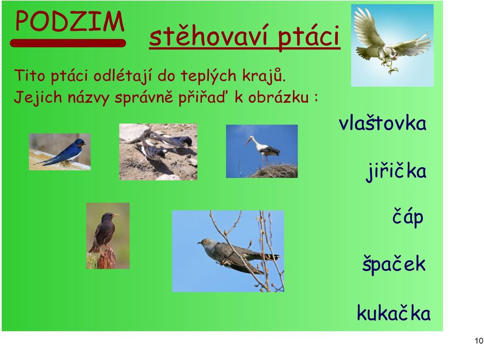 Jejich názvy správně přiřaď k