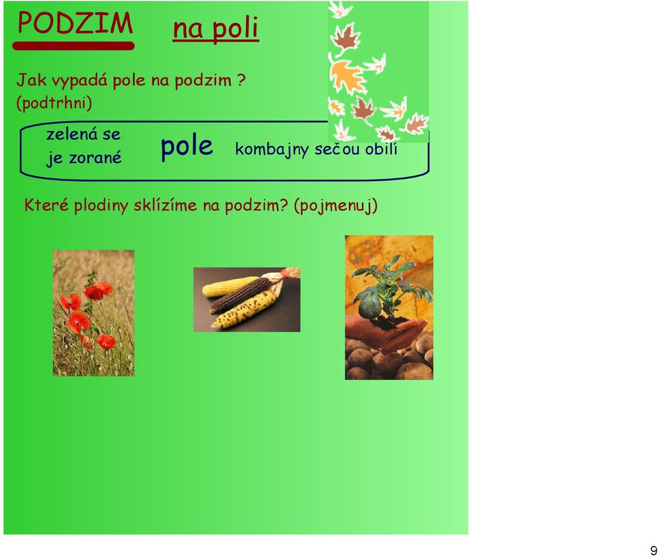 pole kombajny sečou obilí Které