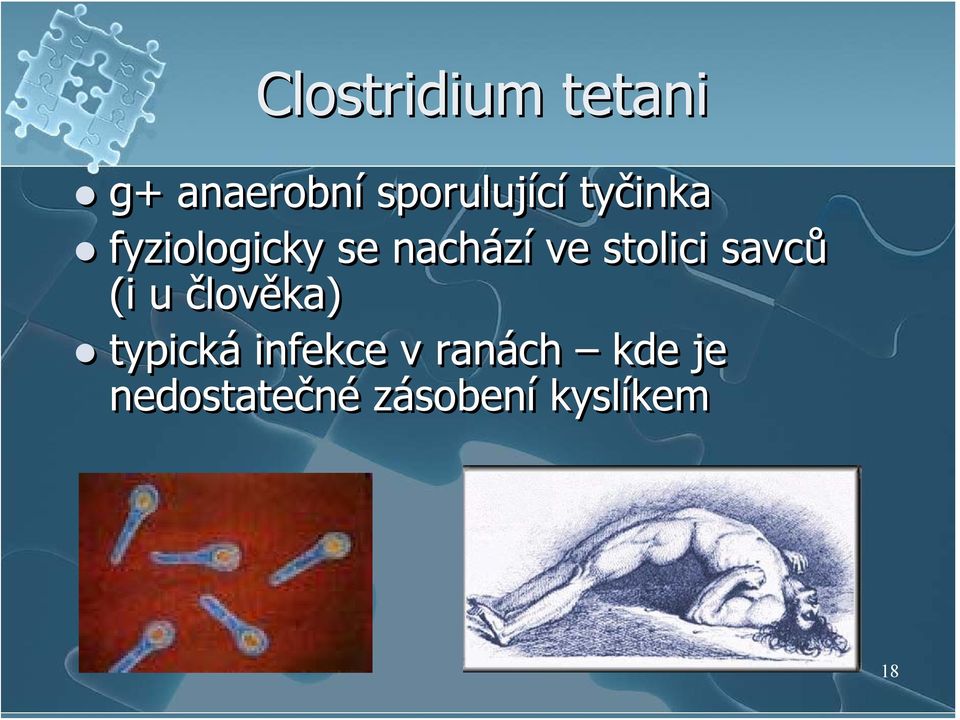 nachází ve stolici savců (i u člověka)