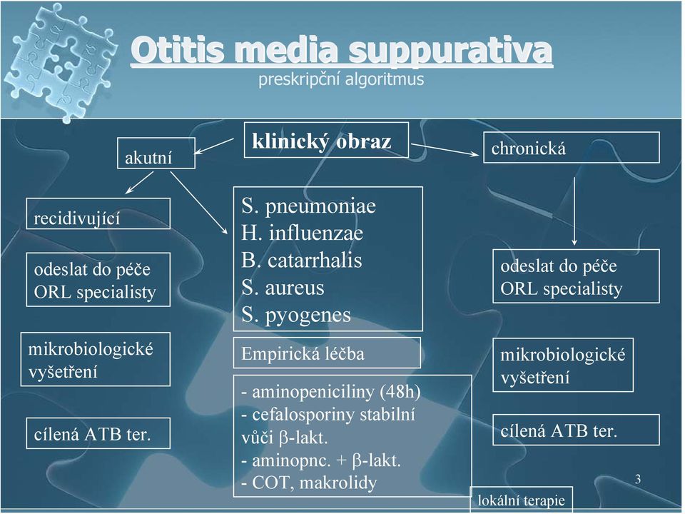 pyogenes odeslat do péče ORL specialisty mikrobiologické vyšetření cílená ATB ter.