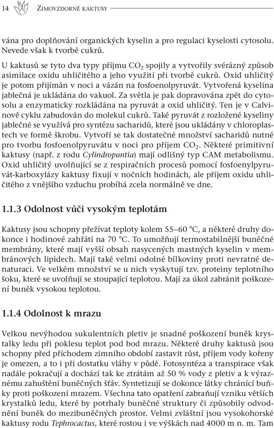 Oxid uhličitý je potom přijímán v noci a vázán na fosfoenolpyruvát. Vytvořená kyselina jablečná je ukládána do vakuol.