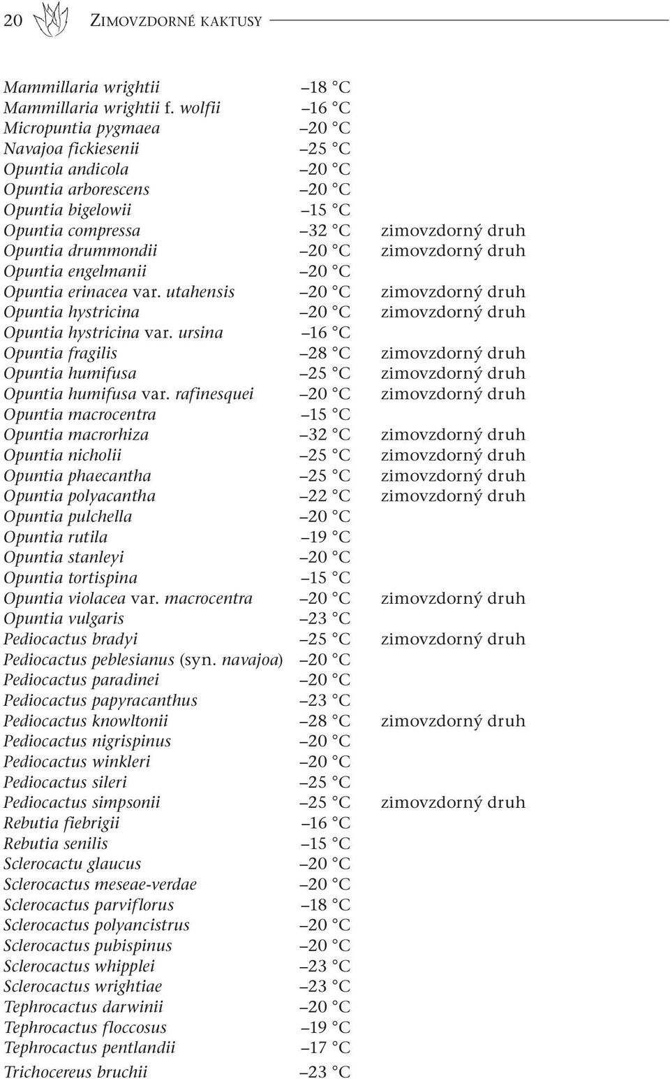 zimovzdorný druh Opuntia engelmanii 20 C Opuntia erinacea var. utahensis 20 C zimovzdorný druh Opuntia hystricina 20 C zimovzdorný druh Opuntia hystricina var.