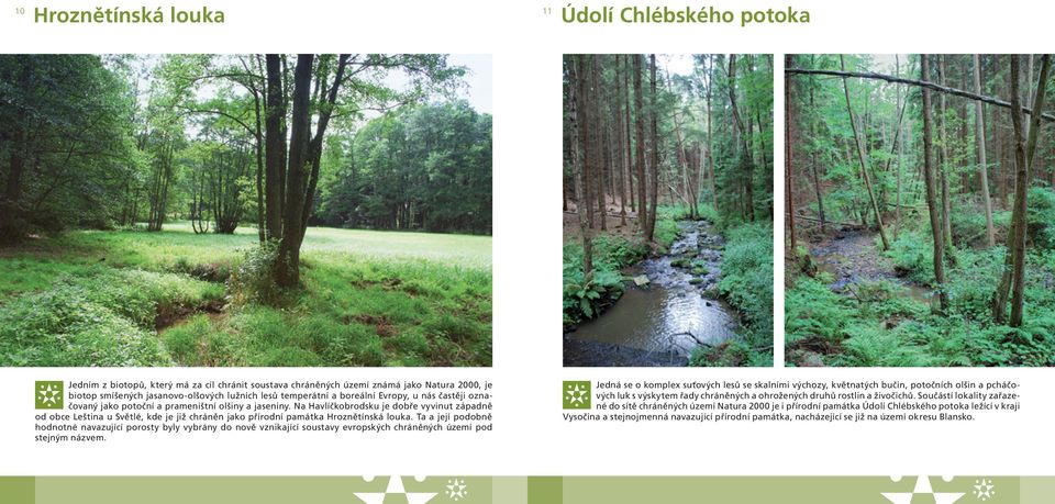 Na Havlíčkobrodsku je dobře vyvinut západně od obce Leština u Světlé, kde je již chráněn jako přírodní památka Hroznětínská louka.