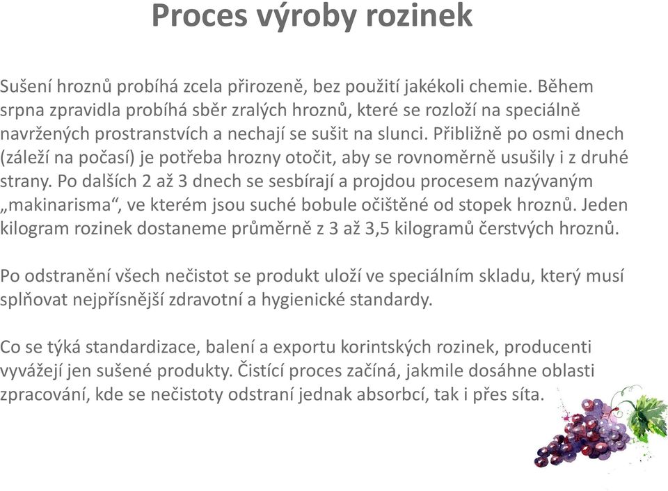 Přibližně po osmi dnech (záleží na počasí) je potřeba hrozny otočit, aby se rovnoměrně usušily i z druhé strany.