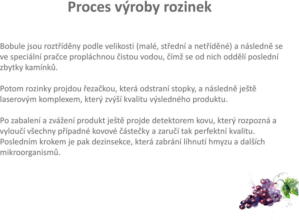 Potom rozinky projdou řezačkou, která odstraní stopky, a následně ještě laserovým komplexem, který zvýší kvalitu výsledného produktu.