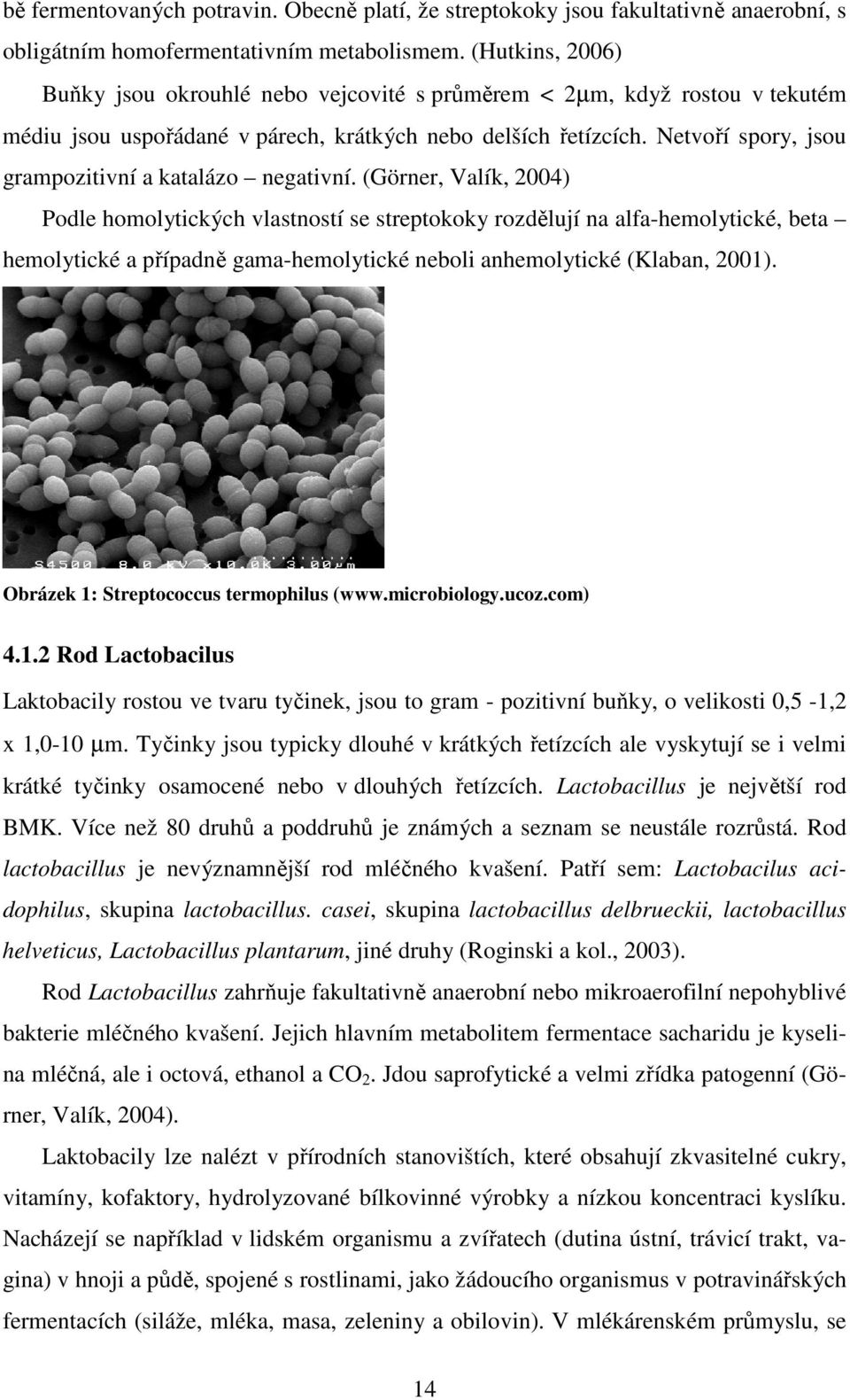 Netvoří spory, jsou grampozitivní a katalázo negativní.