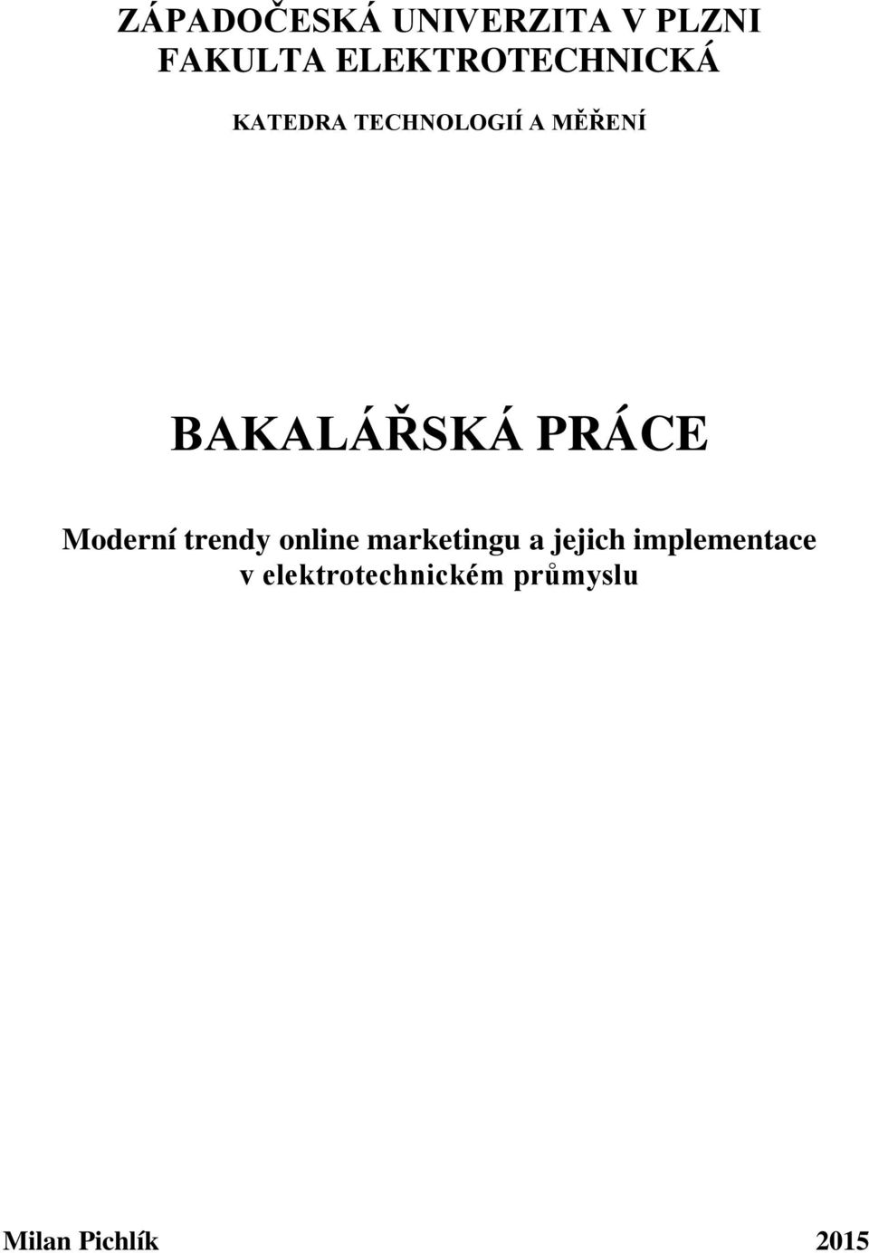 BAKALÁŘSKÁ PRÁCE Moderní trendy online marketingu