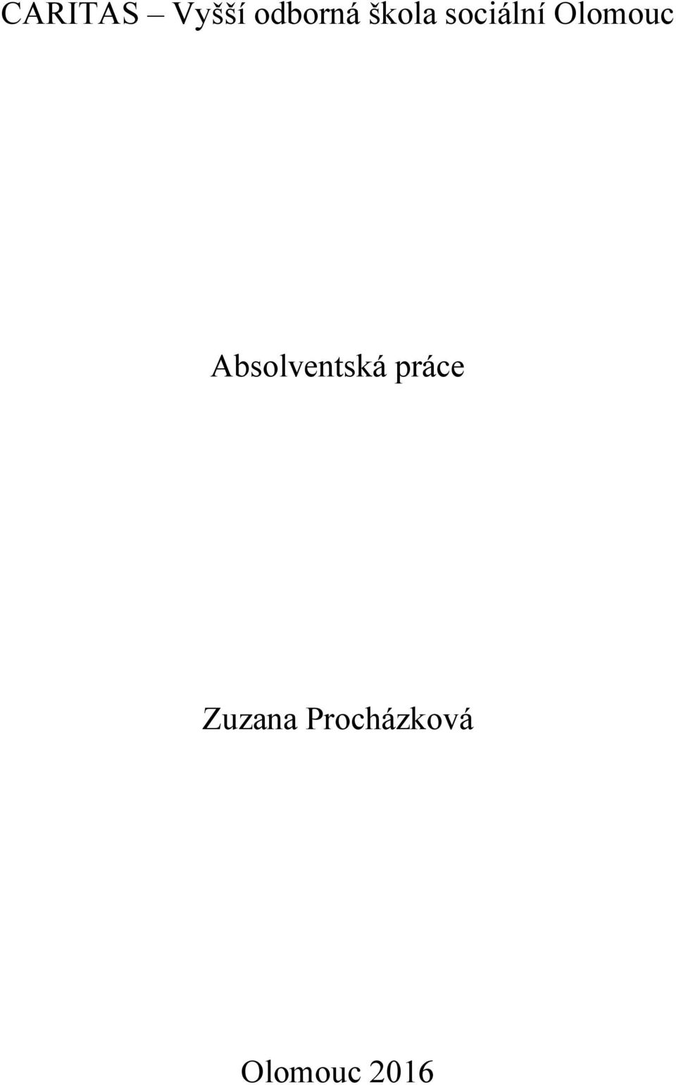 Absolventská práce