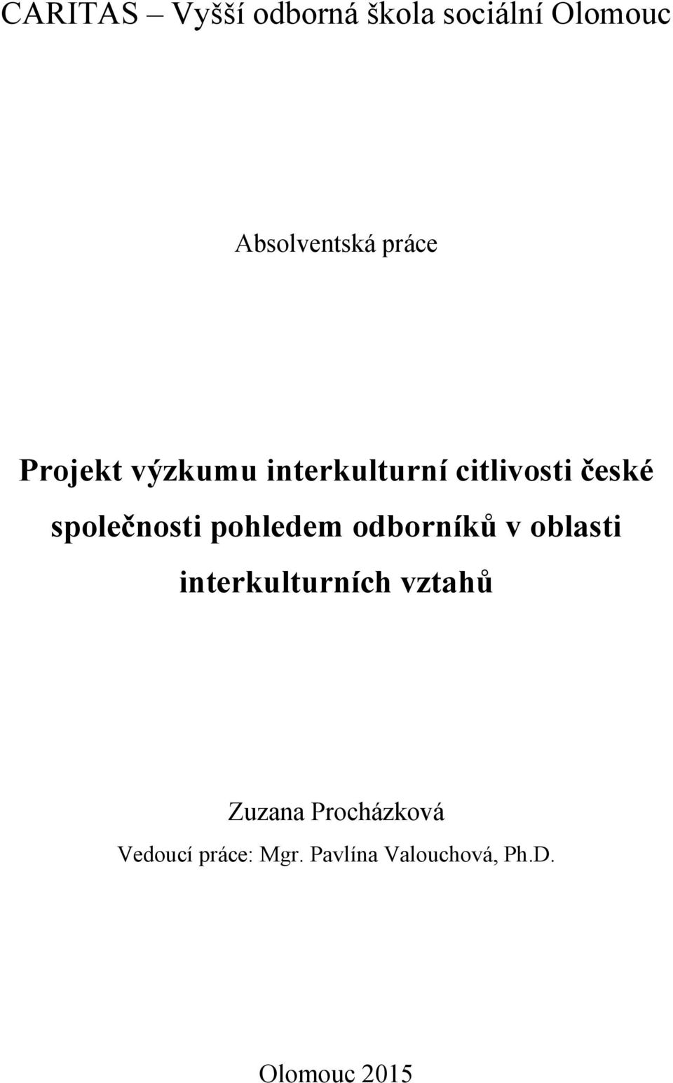 společnosti pohledem odborníků v oblasti interkulturních