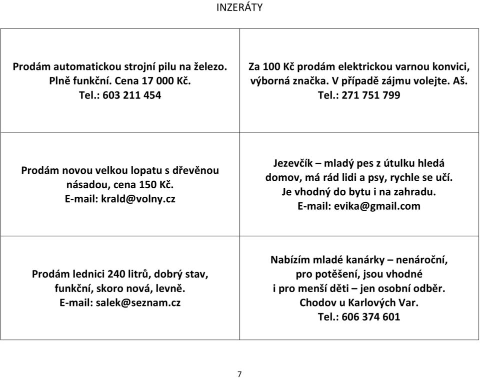 cz Jezevčík mladý pes z útulku hledá domov, má rád lidi a psy, rychle se učí. Je vhodný do bytu i na zahradu. E-mail: evika@gmail.