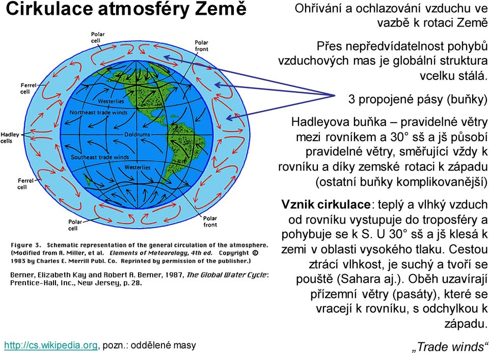 buňky komplikovanější) Vznik cirkulace: teplý a vlhký vzduch od rovníku vystupuje do troposféry a pohybuje se k S. U 30 sš a jš klesá k zemi v oblasti vysokého tlaku.