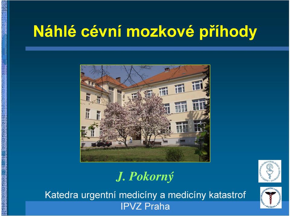 Pokorný Katedra