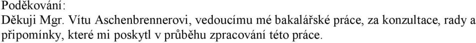 bakalářské práce, za konzultace, rady a