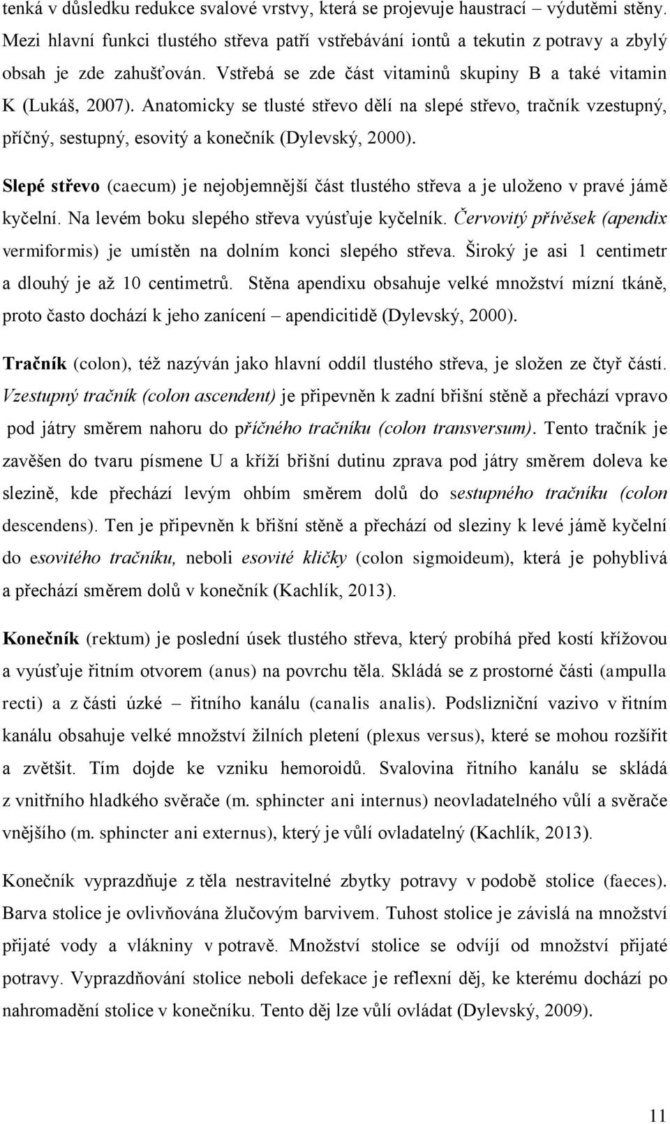 Slepé střevo (caecum) je nejobjemnější část tlustého střeva a je uloženo v pravé jámě kyčelní. Na levém boku slepého střeva vyúsťuje kyčelník.