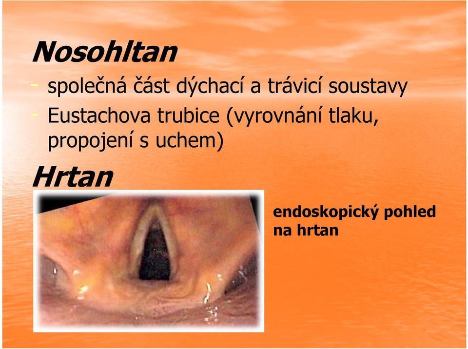 trubice (vyrovnání tlaku, propojení