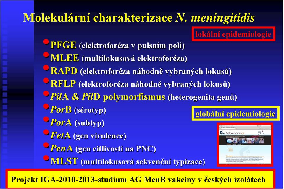 polymorfismus PorB (sérotyp) PorA (subtyp) FetA (gen virulence) PenA (gen citlivosti na PNC) MLST (multilokusová sekven pulsním poli)