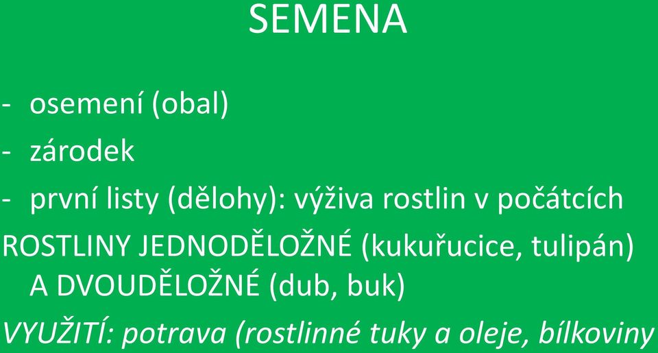 JEDNODĚLOŽNÉ (kukuřucice, tulipán) A DVOUDĚLOŽNÉ