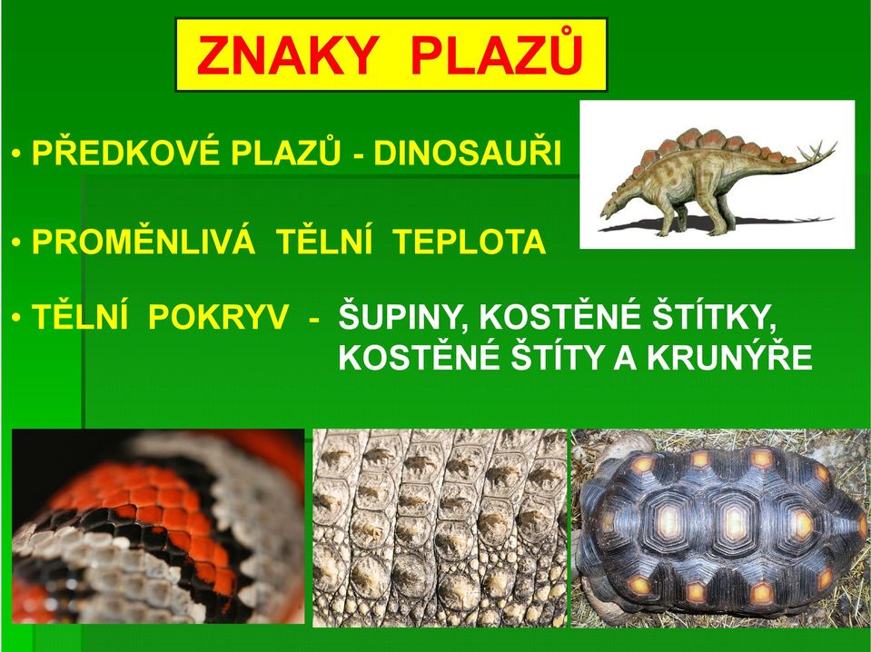 TEPLOTA TĚLNÍ POKRYV - ŠUPINY,